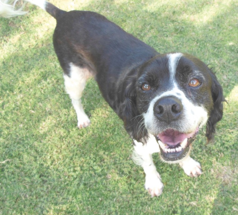 Someone to love: Riley